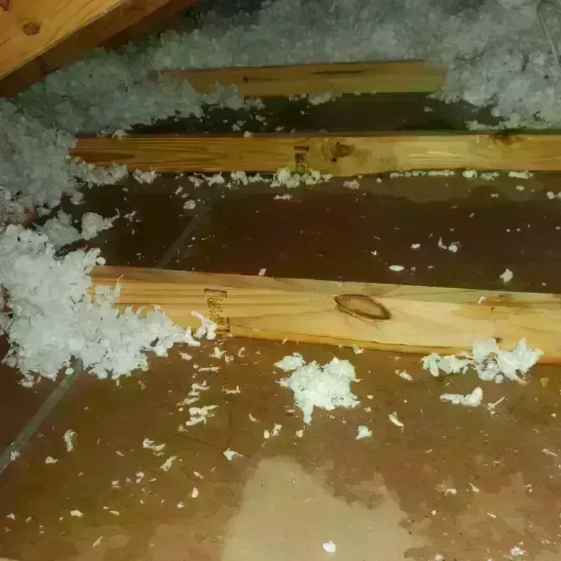 Attic Water Damage in Crescent City, CA